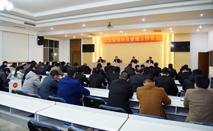 集团召开财务管理工作会议(图4)