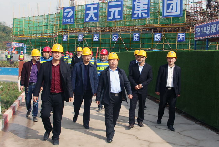 集团组织外埠施工现场观摩学习交流活动(图1)