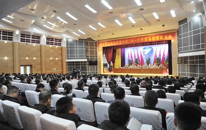 集团隆重召开2018年度总结表彰大会(图7)