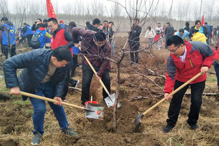 集团团委组织团员青年参加植树活动(图1)