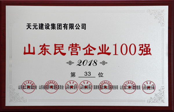 山东省民营企业100强(图1)