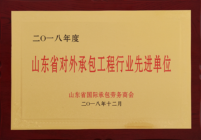 山东省对外承包工程行业先进单位(图1)