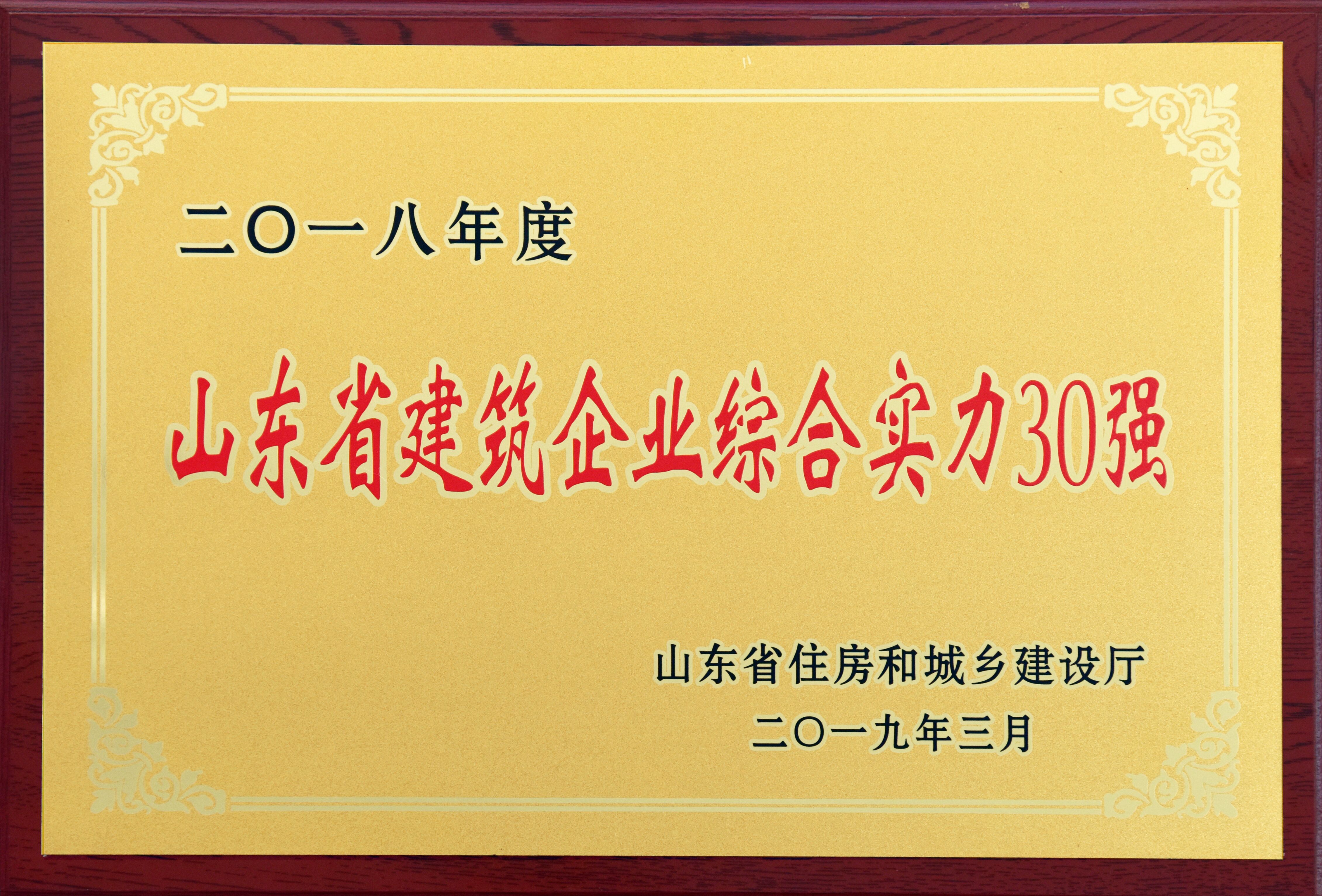 山东省建筑企业综合实力30强(图1)