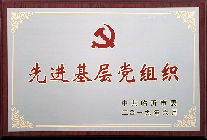 八公司党支部荣获临沂市先进基层党组织荣誉称号(图1)