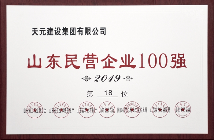 山东民营企业100强(图1)