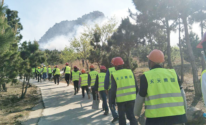 天元青岛二公司积极参与小珠山灭火行动(图2)