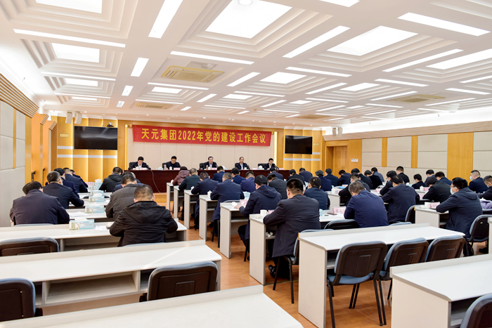 集团党委召开2022年党的建设工作会议(图4)