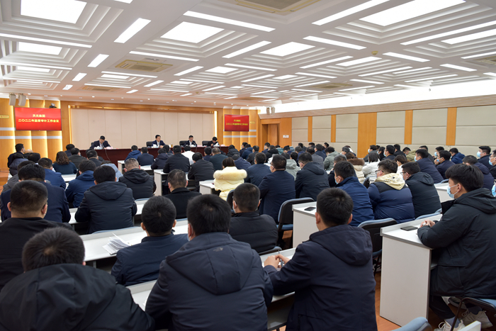 集团召开2022年监察审计工作会议(图2)