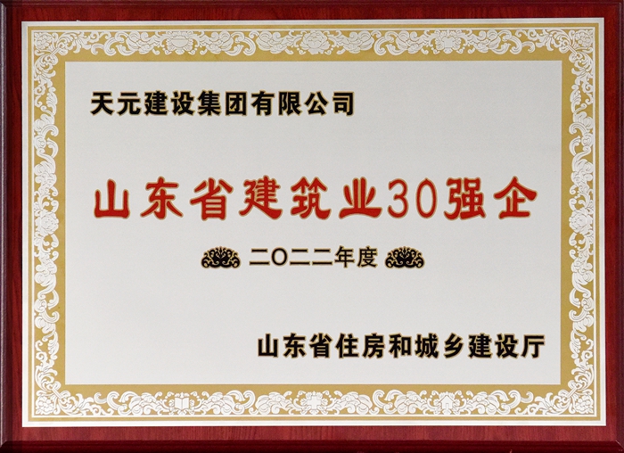 山东省建筑业30强企(图1)